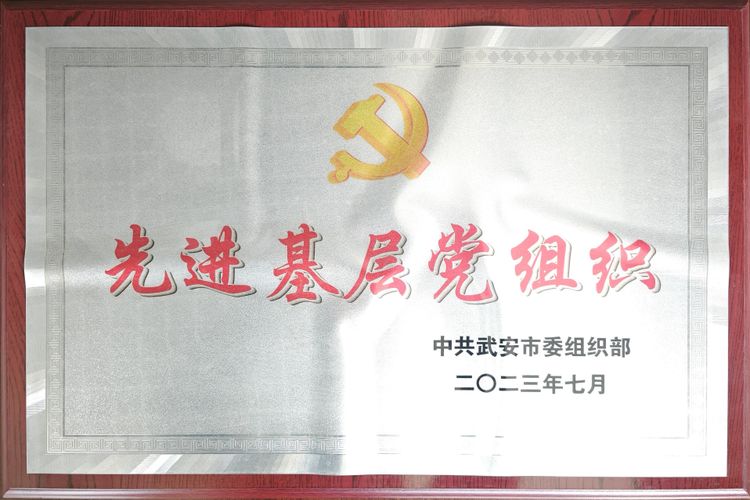 先进基层党组织
