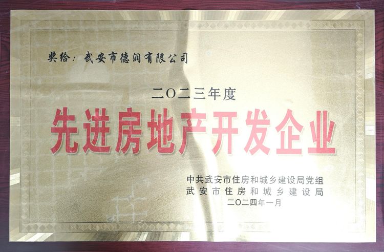 先进房地产开发企业