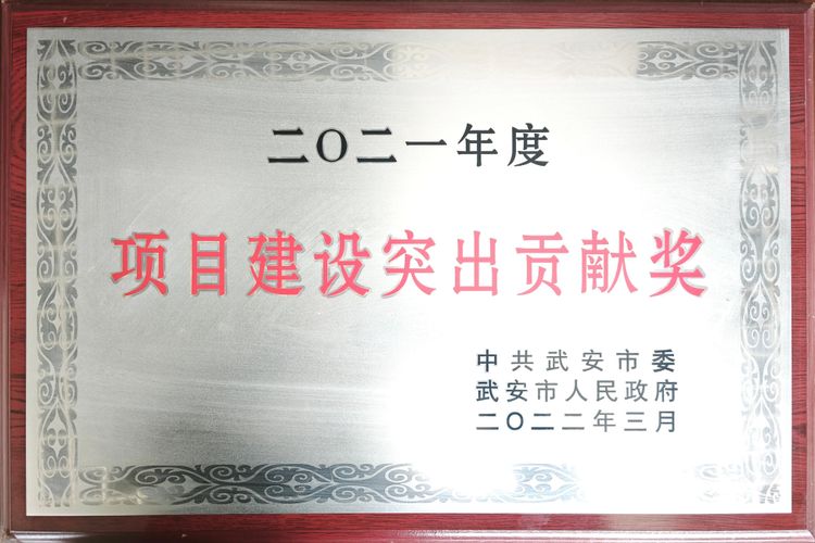 项目建设突出贡献奖